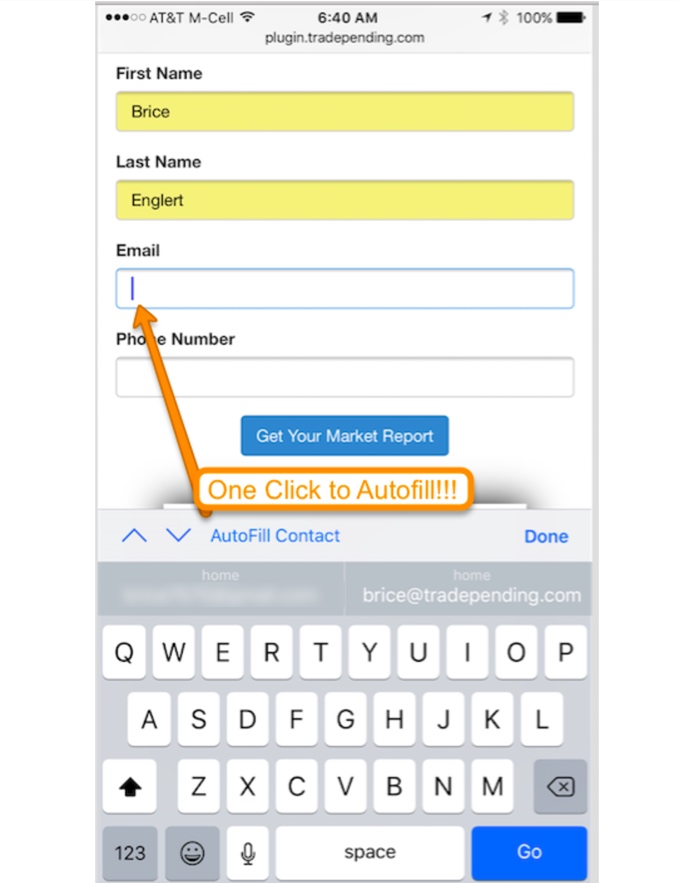 auto mobile form fill conversion on iOS